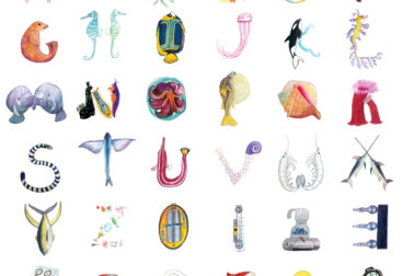 26 days of type sea trek